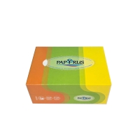 Անձեռոցիկ Papyrus Sun 3շերտ 100հ